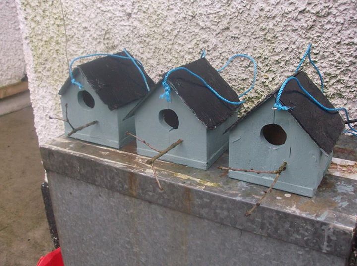 Pallets Wood Created Birds House