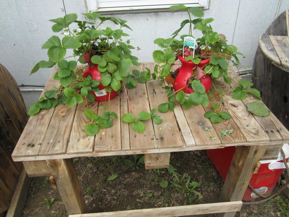 Cable Reel Pallets Table
