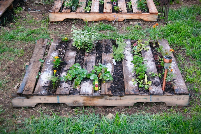 Pallet Vegetable Garden | Pallet Ideas