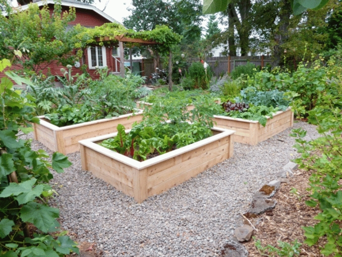 Pallet Vegetable Garden | Pallet Ideas