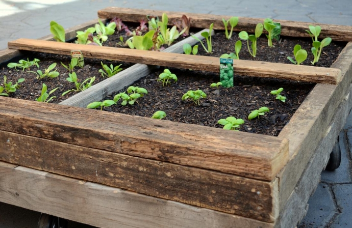 Pallet Vegetable Garden | Pallet Ideas