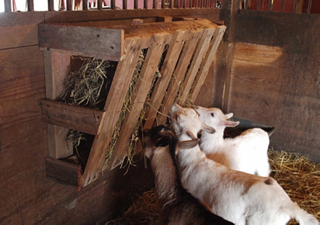 Pallets Hay Feeder Ideas | Pallet Ideas