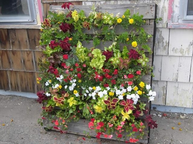 Ideas for Pallet Garden | Pallet Ideas