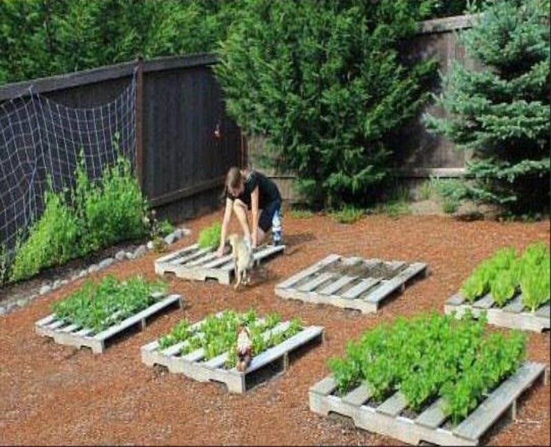 Enjoy Pallet Gardening in Creative Way | Pallet Ideas: Recycled