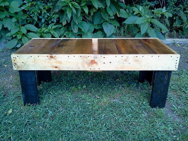 DIY-Pallets-Coffee-Table