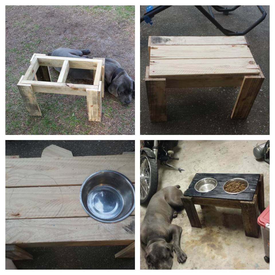 Dog-Feeder-Made-with-Pallets-Wood