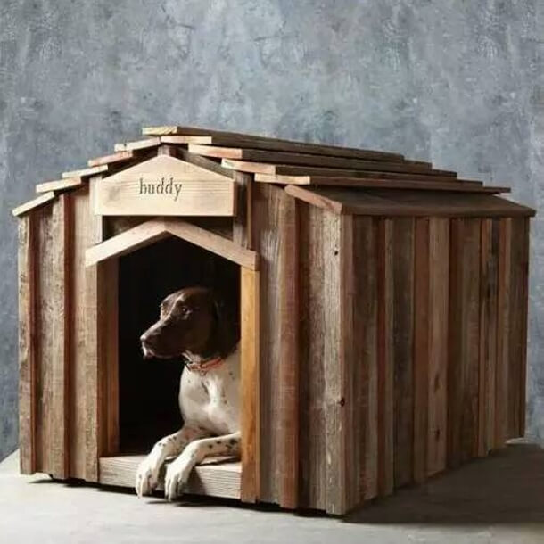 Pallets-Dog-House