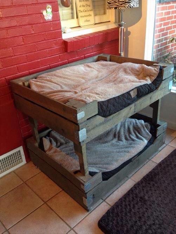 Pallet Made Dog Beds And Houses, How To Make Dog Bunk Beds