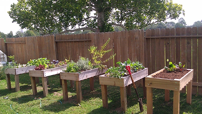 Pallet Vegetable Garden | Pallet Ideas
